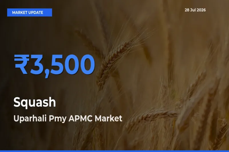 Uparhali Pmy APMC, Kamrup, Assam Offers ₹3,500 – Highest Squash Rate Today