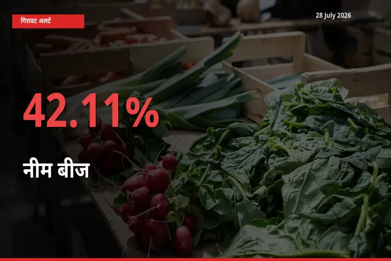 स्थानीय मंडी में नीम बीज के दाम अचानक 42.11% गिरे, किसानों की चिंता बढ़ी