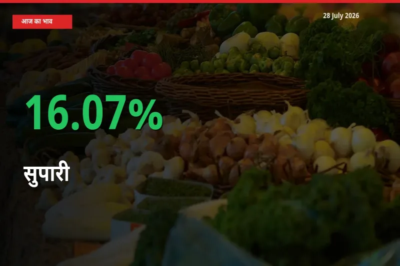 स्थानीय मंडी में सुपारी के दाम अचानक 16.07% उछले, किसान सतर्क
