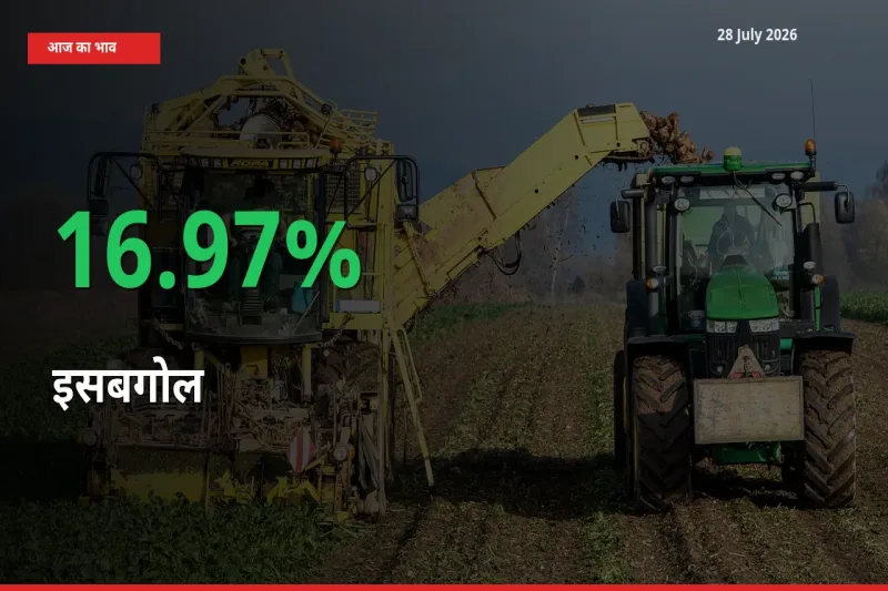 इसबगोल 16.97% उछला, मंडी