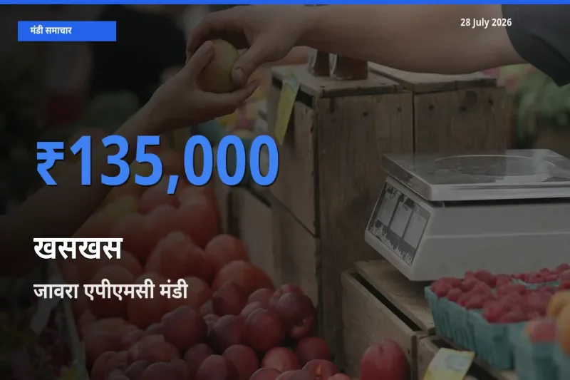 जावरा एपीएमसी, रतलाम, मध्य प्रदेश में खसखस का आज सबसे ऊँचा भाव