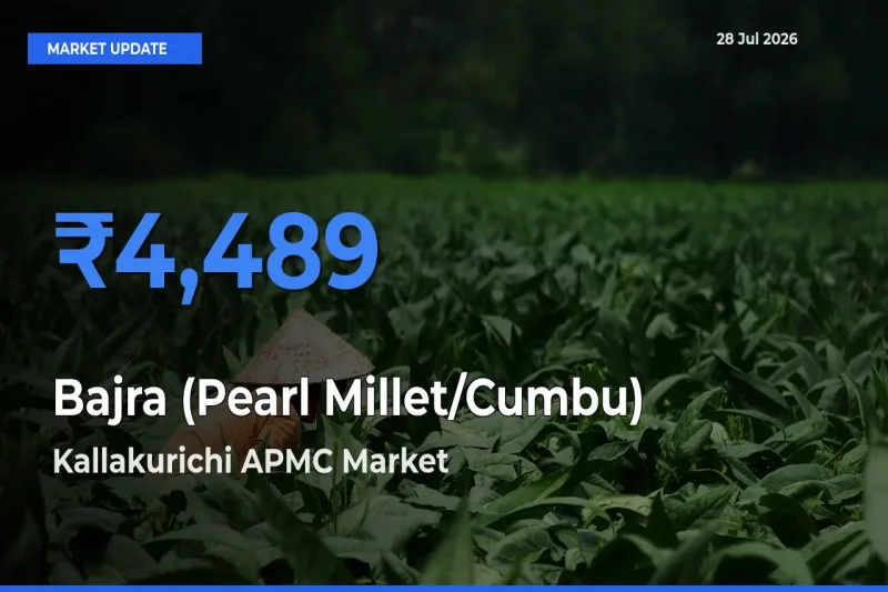 Kallakurichi APMC, Villupuram, Tamil Nadu Tops Bajra (Pearl Millet/Cumbu) Mandi Rates Today