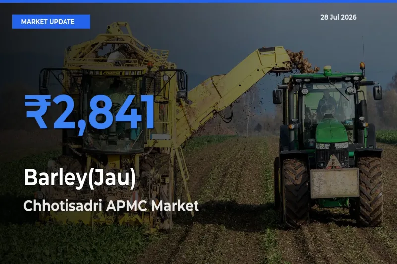 Chhotisadri APMC, Pratapgarh, Rajasthan Emerges as Top Mandi for Barley(Jau) Prices Today