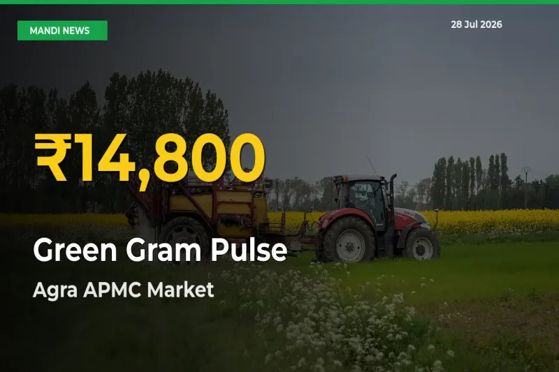 Agra APMC, Uttar Pradesh Leads as Green Gram Pulse Hits Highest Rate – July 28 Update