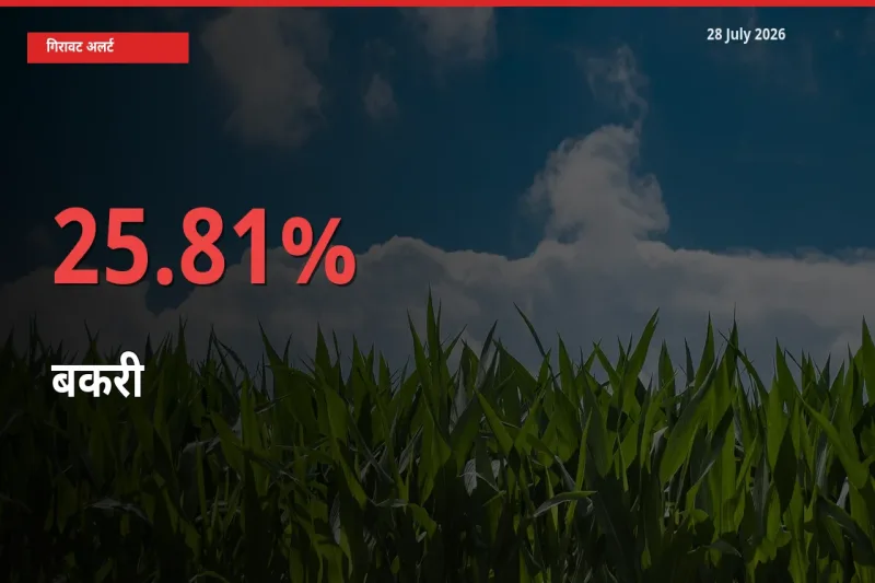 28 July अपडेट: बकरी के दाम मंडी में 25.81% गिरे