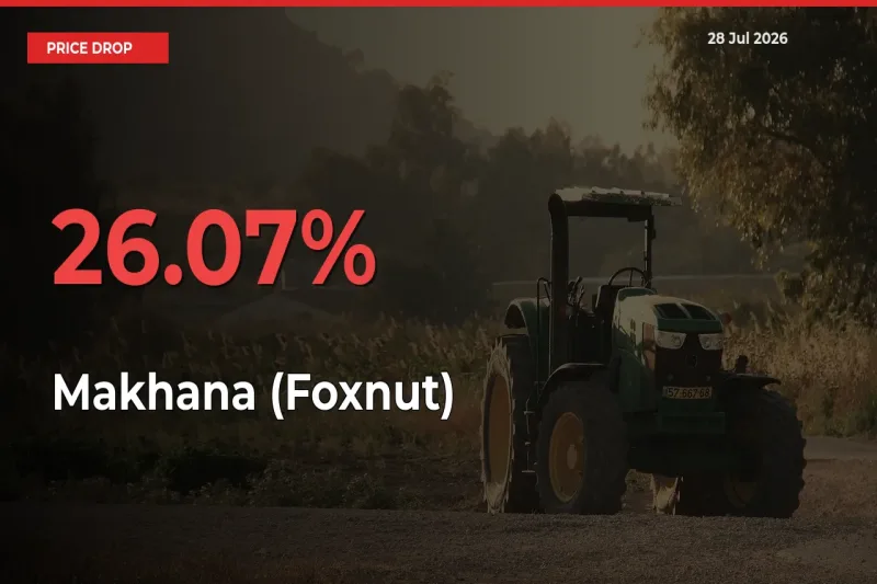 This Mandi Records 26.07% Fall in Makhana (Foxnut) Prices