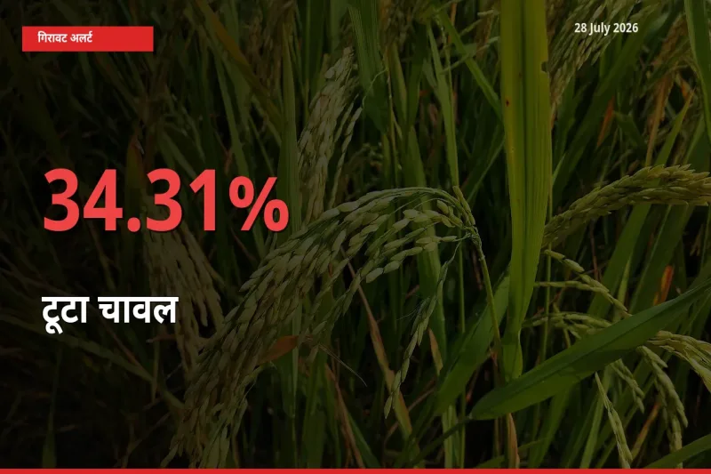 बाज़ार संकेत: टूटा चावल के भाव मंडी में 34.31% नीचे