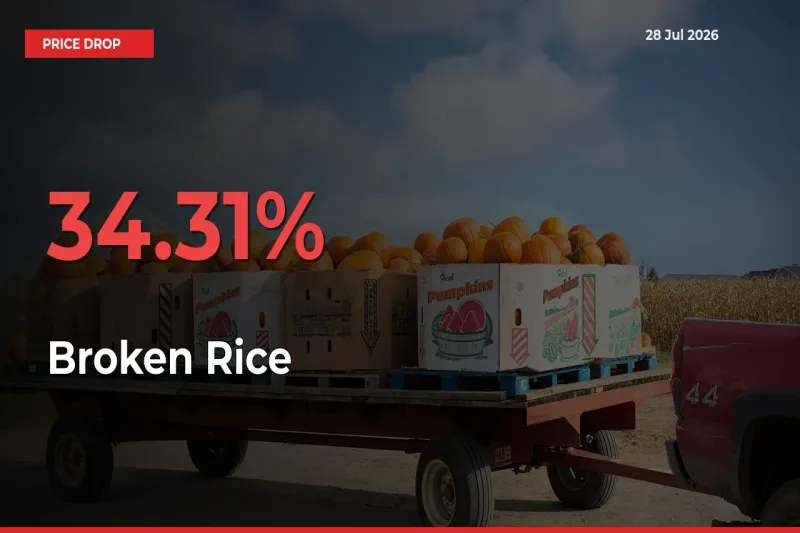 Why Broken Rice Prices Fell 34.31% in a Day at Mandis
