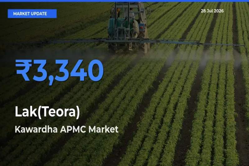 Kawardha APMC, Kabirdham, Chattisgarh Leads as Top Mandi for Lak(Teora) Prices