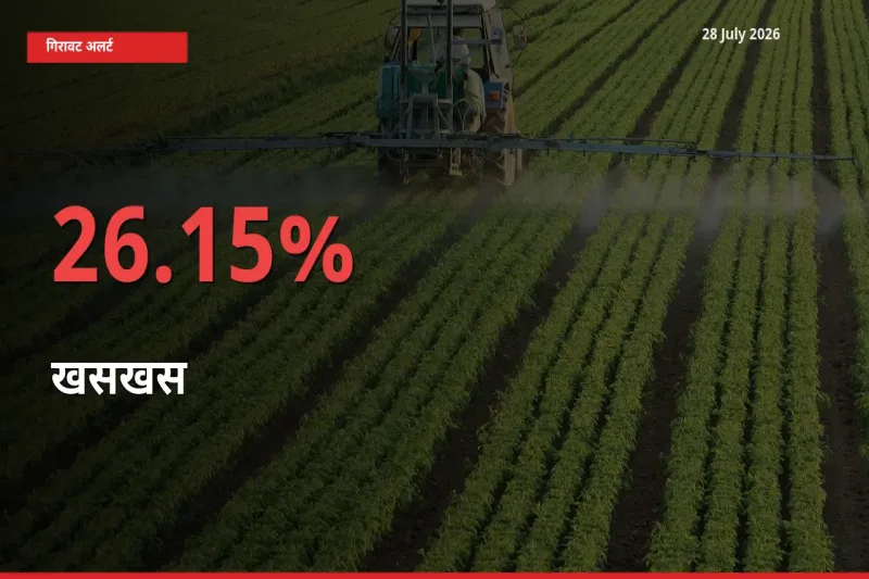 किसानों की चिंता बढ़ी! स्थानीय मंडी में खसखस 26.15% गिरा