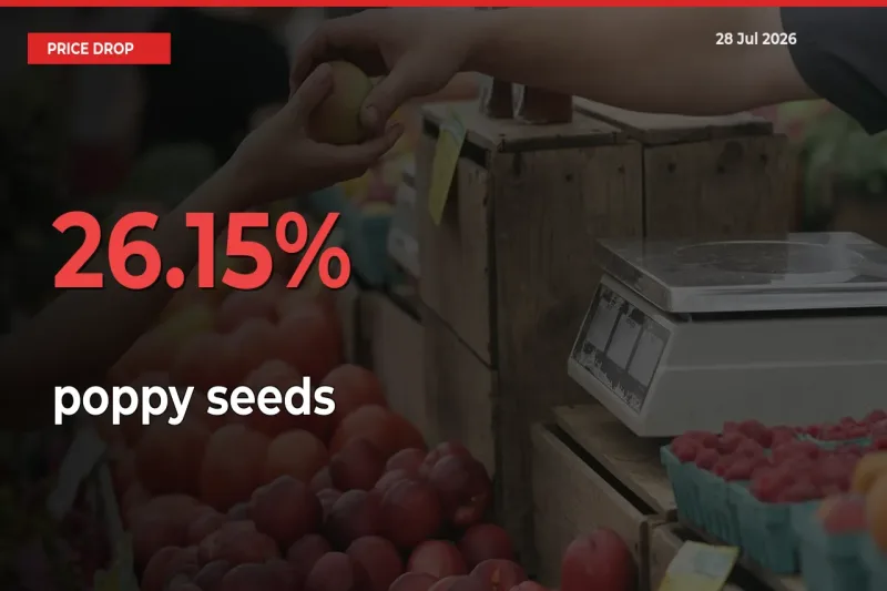 26.15% Drop in poppy seeds Prices – Mandi Sees Sudden Fall