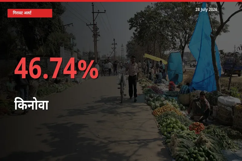 किनोवा के दाम प्रमुख मंडी में 46.74% गिरे, 24 घंटे में बड़ा बदलाव