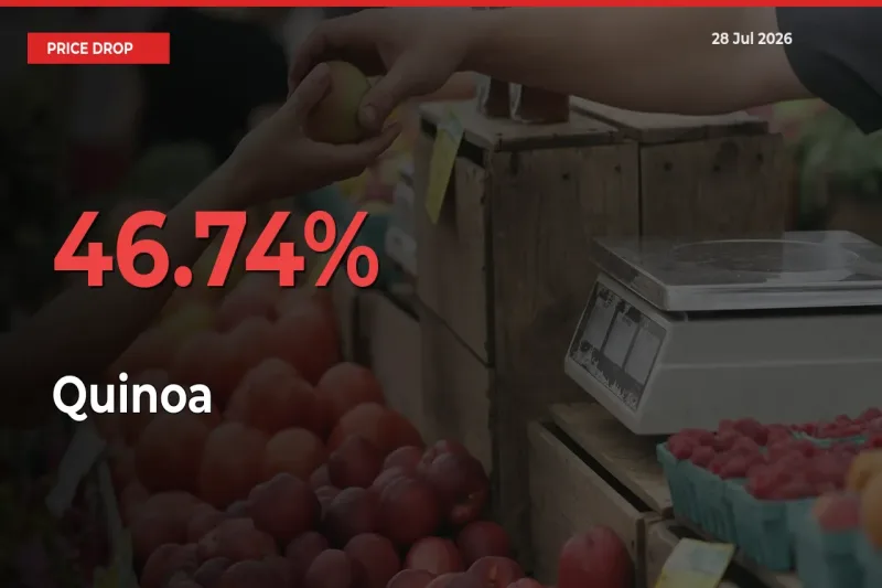 46.74% Drop in Quinoa Prices – Mandi Sees Sudden Fall