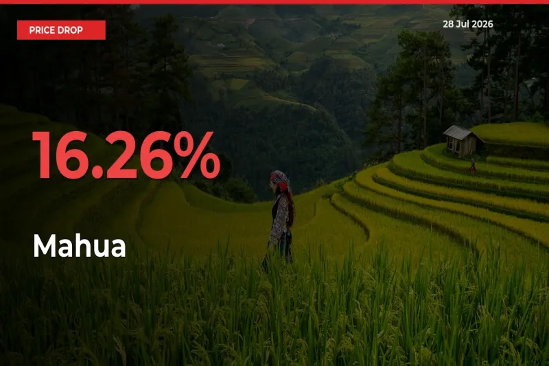 Mahua Prices Drop 16.26% – July 28 Market Update from Mandis