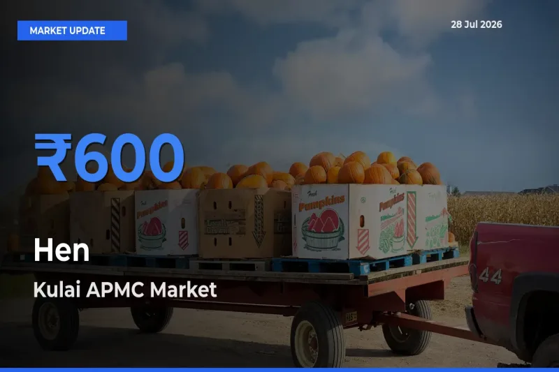 Kulai APMC, Dhalai, Tripura Records Highest ₹600 Rate for Hen