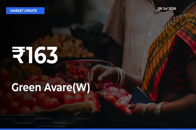 Green Avare(W) Prices Trend Across 163+ Mandis – Market Direction Turns Clear