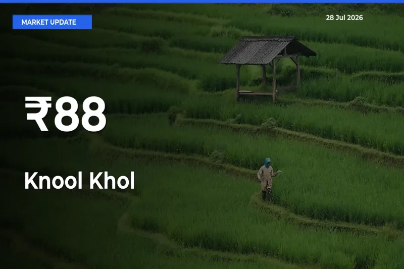 Knool Khol Rates Show Broad Movement Across 88+ Mandis