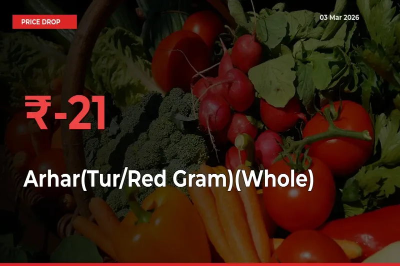 Sharp Fall! Arhar(Tur/Red Gram)(Whole) Prices Plunge 20.63% in a Day at Key Mandis