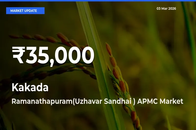 Kakada Prices Touch 30-Day Low in Ramanathapuram(Uzhavar Sandhai ) APMC – March 03 Update
