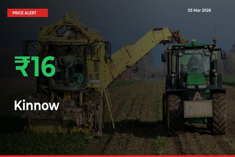This Mandi Records 15.92% Jump in Kinnow Prices