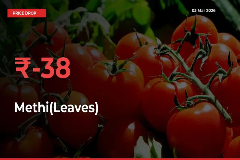 Methi(Leaves) Prices Drop 38.19% – March 03 Market Update from Mandis