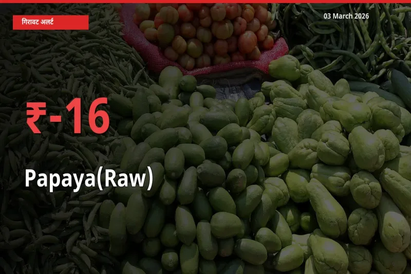 अचानक झटका! मंडी में पपीता (कच्चा) के दाम 16.19% टूटे