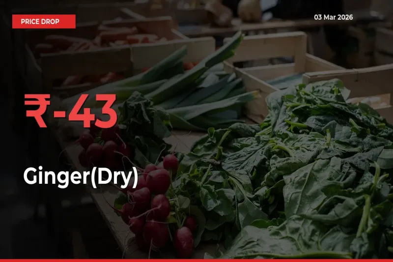 42.51% Drop in Ginger(Dry) Prices – Mandi Sees Sudden Fall