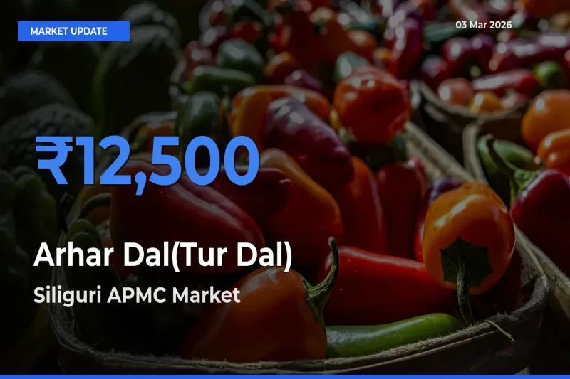 Siliguri APMC Leads as Top Mandi for Arhar Dal(Tur Dal) Prices