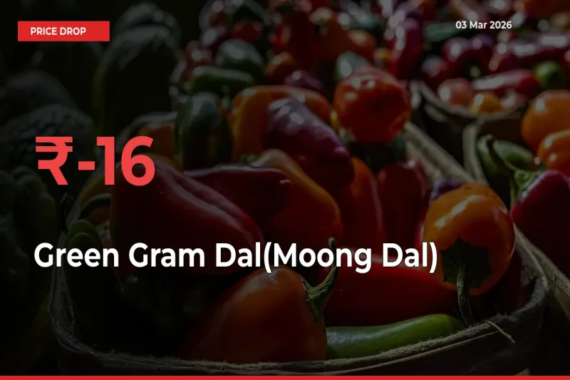 Sharp Fall! Green Gram Dal(Moong Dal) Prices Plunge 16.14% in a Day at Key Mandis