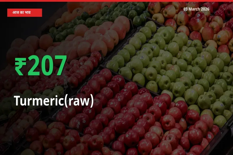 अचानक तेजी! मंडी में हल्दी (कच्ची) के दाम 206.8% चढ़े