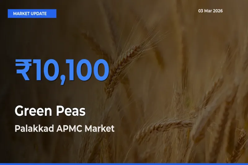 Palakkad APMC Emerges as Top Mandi for Green Peas Prices Today