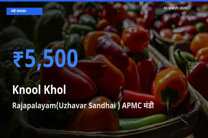 Rajapalayam(Uzhavar Sandhai ) APMC मंडी में गांठगोभी ₹5,500 पर पहुँचा – आज का सर्वोच्च भाव