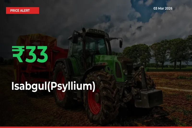 This Mandi Records 33.19% Jump in Isabgul(Psyllium) Prices