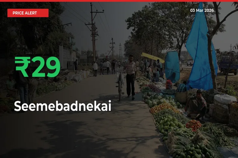 This Mandi Records 29% Jump in Seemebadnekai Prices