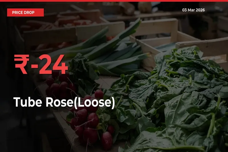 Tube Rose(Loose) Falls 24.24% at Mandis