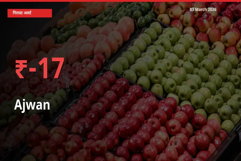 अजवाइन 17.07% गिरा, मंडी