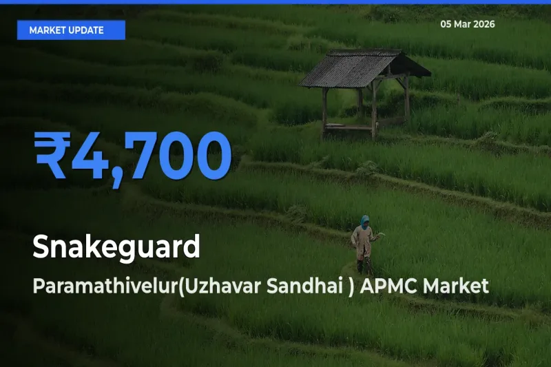 Paramathivelur(Uzhavar Sandhai ) APMC Tops Snakeguard Mandi Rates Today