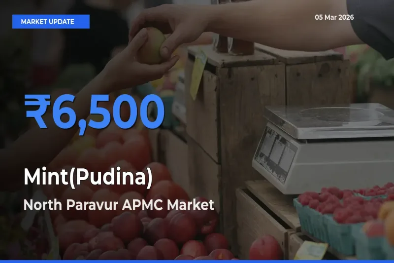 North Paravur APMC Emerges as Top Mandi for Mint(Pudina) Prices Today