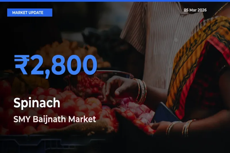Farmers Prefer SMY Baijnath as Spinach Hits Highest Rate