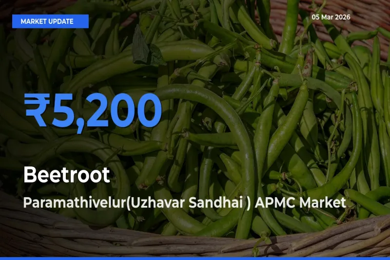 Paramathivelur(Uzhavar Sandhai ) APMC Records Highest ₹5,200 Rate for Beetroot