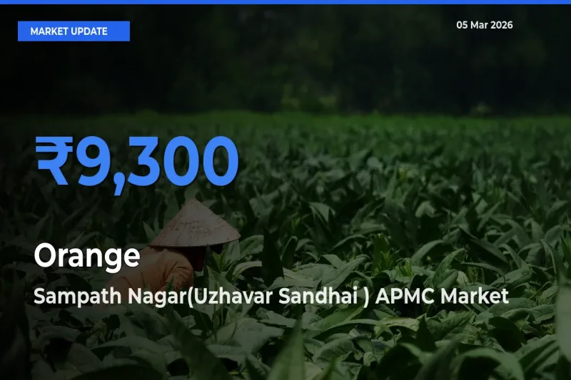 Sampath Nagar(Uzhavar Sandhai ) APMC Tops Orange Rates – March 05 Market Update