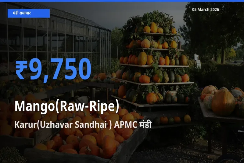 आज आम (कच्चा-पका) के सबसे ऊँचे दाम ₹9,750 Karur(Uzhavar Sandhai ) APMC मंडी में