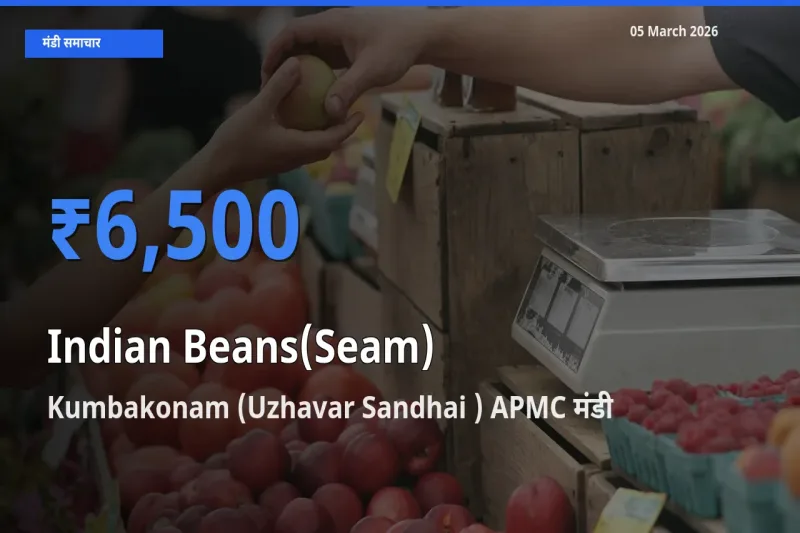 Kumbakonam (Uzhavar Sandhai ) APMC मंडी में आज सेम (देशी) के सबसे ऊँचे दाम दर्ज