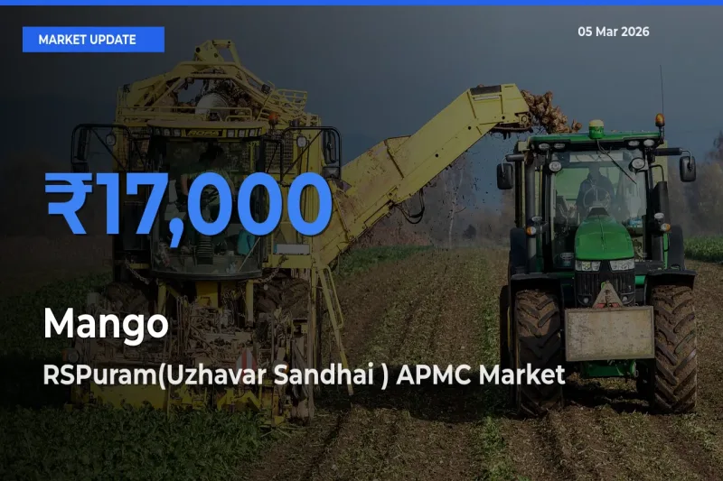 RSPuram(Uzhavar Sandhai ) APMC Emerges as Top Mandi for Mango Prices Today