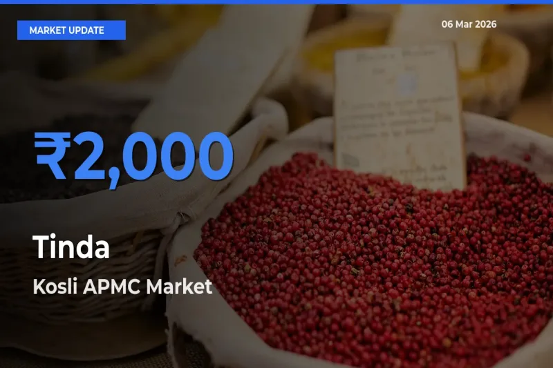 Kosli APMC Emerges as Top Mandi for Tinda Prices Today