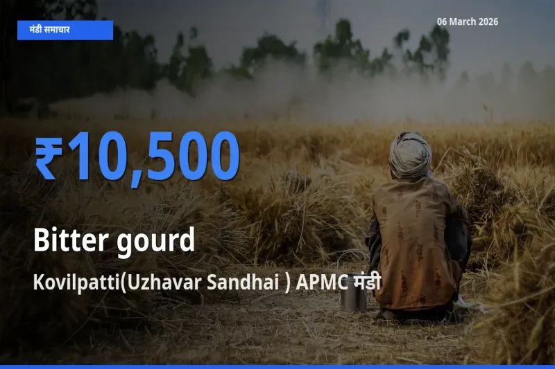 Kovilpatti(Uzhavar Sandhai ) APMC में करेला का आज सबसे ऊँचा भाव