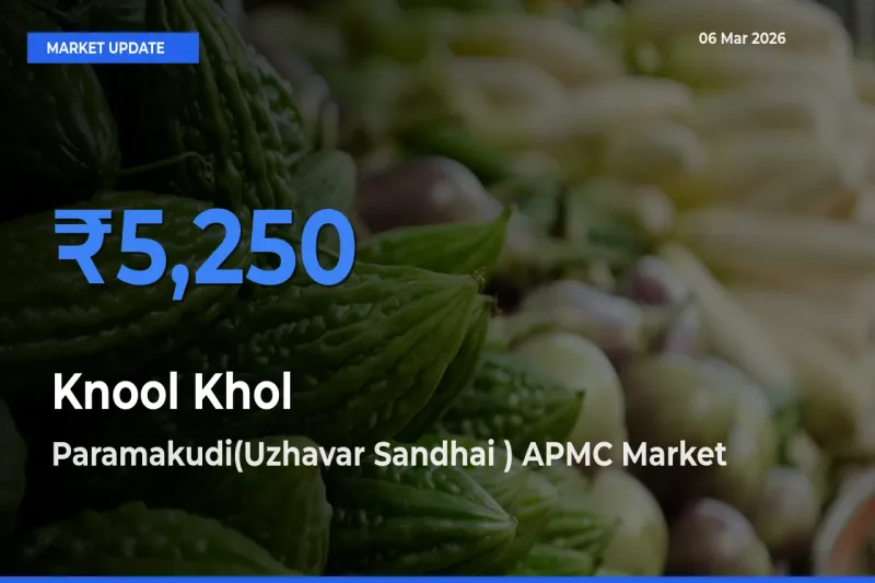 Market Watch: Paramakudi(Uzhavar Sandhai ) APMC Becomes Top Mandi for Knool Khol