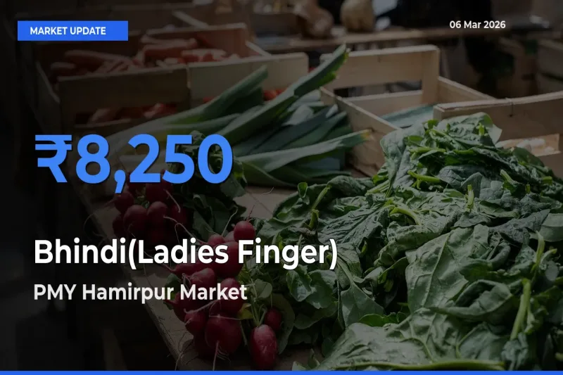 Bhindi(Ladies Finger) Mandi Rate Today: PMY Hamirpur Tops the List