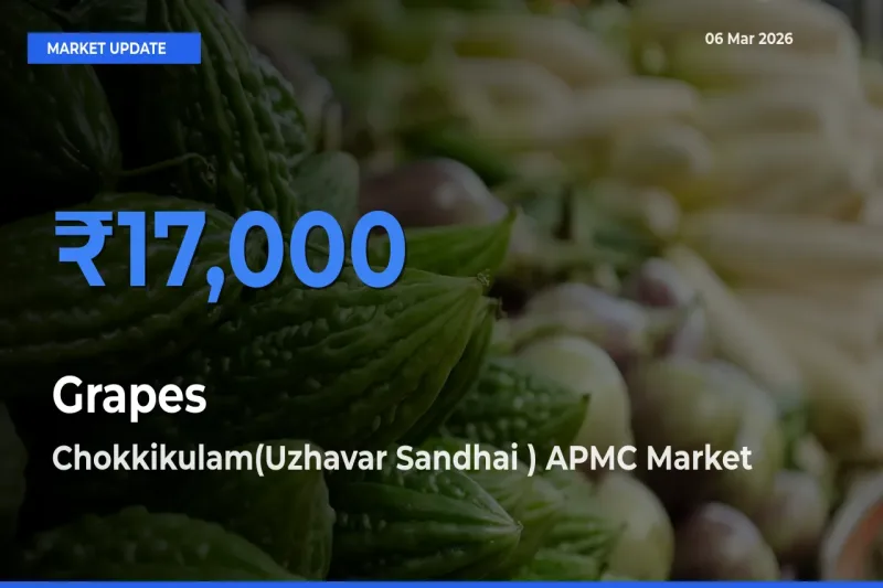 Market Watch: Chokkikulam(Uzhavar Sandhai ) APMC Becomes Top Mandi for Grapes