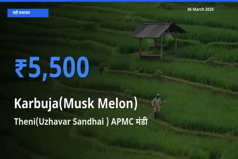 बाज़ार संकेत: Theni(Uzhavar Sandhai ) APMC बना खरबूजा के लिए आज की टॉप मंडी